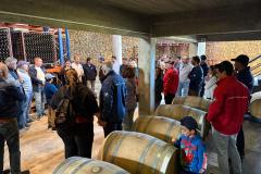 WhatsApp-Image-2025-04-28-at-18.55.55