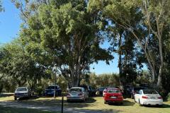 WhatsApp-Image-2025-04-28-at-18.56.28