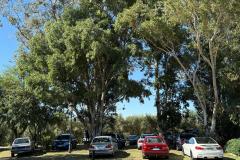 WhatsApp-Image-2025-04-28-at-18.56.29