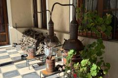 WhatsApp-Image-2025-04-28-at-18.56.34-1