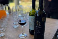 WhatsApp-Image-2025-04-28-at-18.57.15-2