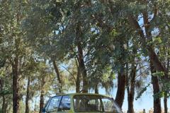 WhatsApp-Image-2025-04-28-at-18.57.20