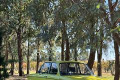 WhatsApp-Image-2025-04-28-at-18.57.21